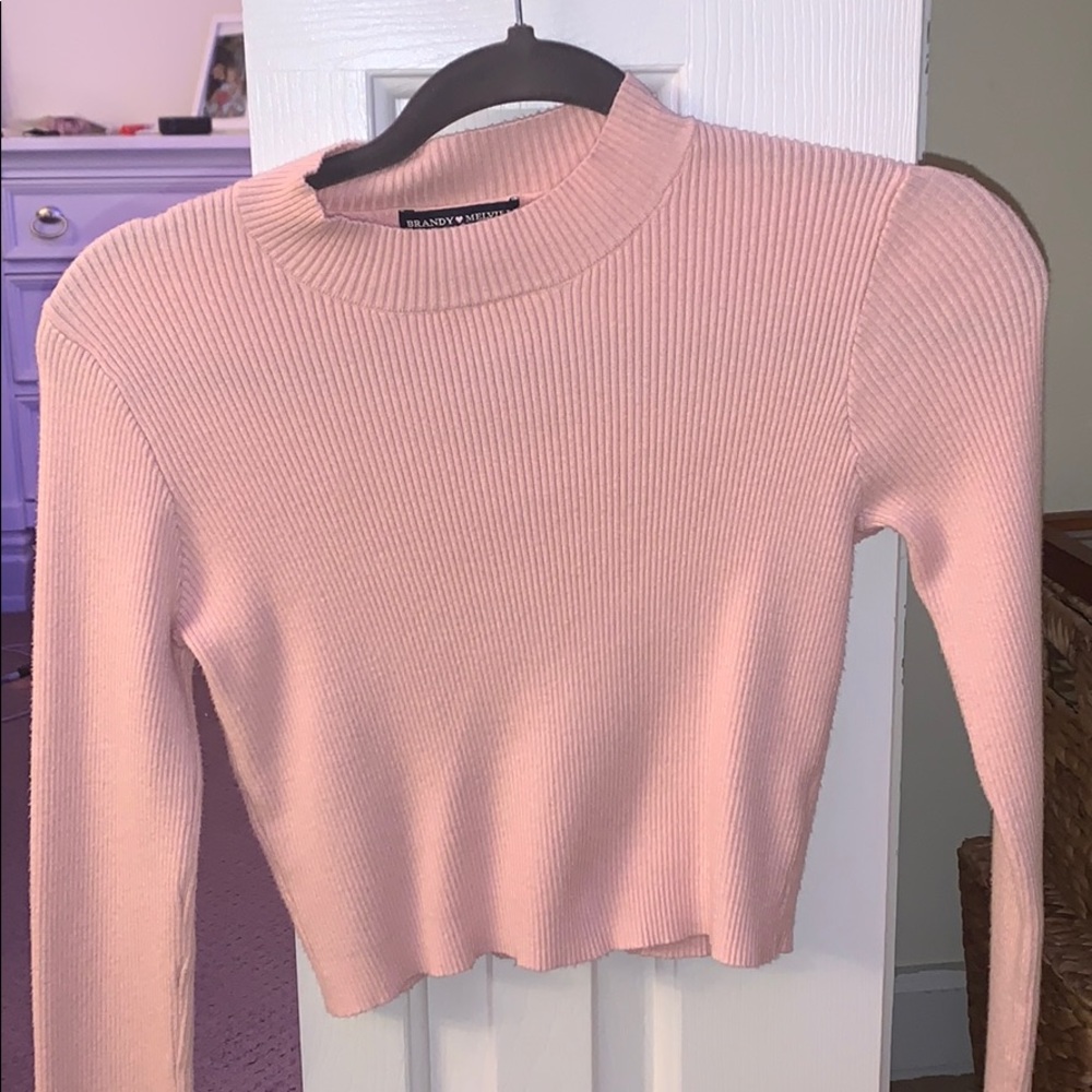 Brandy Pink Crop Top